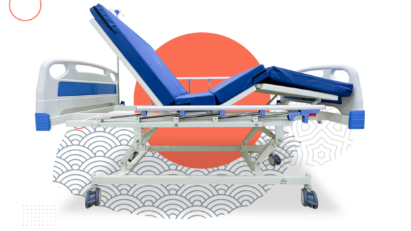 giuong benh ichigo da chuc nang dien